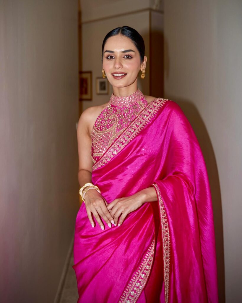 Wallah Habibi Song femael cast, Wallah Habibi Song actress, Wallah Habibi Song movie, manushi chhillar,